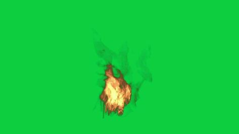 Realistic fire flame burning animation effect on green screen background Fire Green Screen Video, Fire Green Screen, Animation Effect, Fire Video, Fire Flame, Screen Background, Green Screen Backgrounds, Free Stock Video, Green Screen