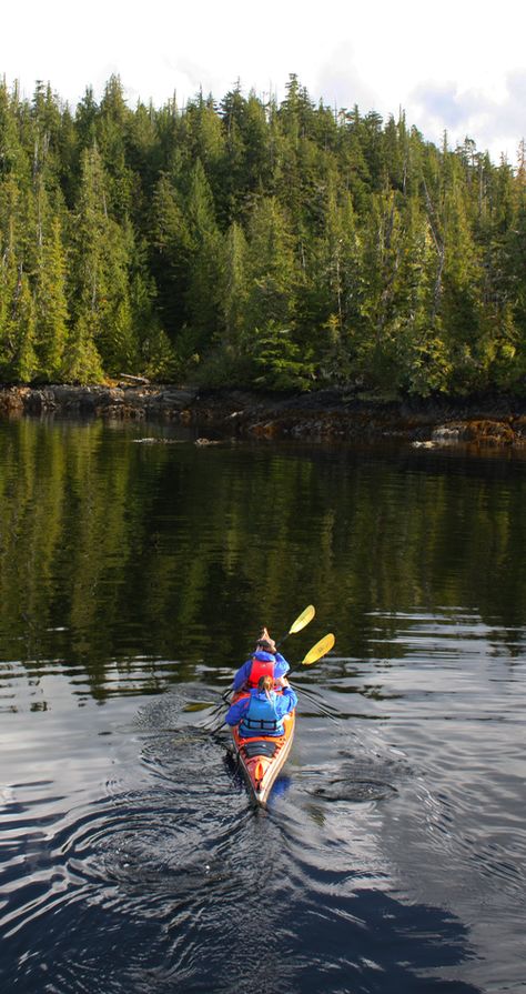 Paddling the Current Designs Libra XT at Orcas Cove with Southeast Sea Kayaks, Ketchikan, Alaska. Tandem Kayak, Lake Lifestyle, Trip Style, Camping Pics, Double Kayak, Tandem Kayaking, Ketchikan Alaska, Wild Man, Kayak Camping