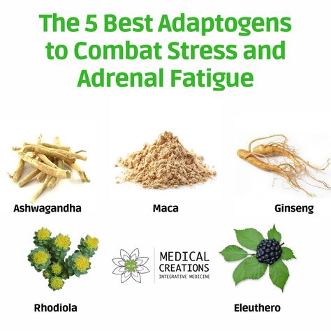 Herbs For Fatigue, Herbs For Cortisol, Herbs For Adrenal Fatigue, Cortisol Reduction Diet, Hpa Axis Dysfunction, Adaptogen Herbs, Symptoms Of Adrenal Fatigue, Cortisol Reduction, Health 2023