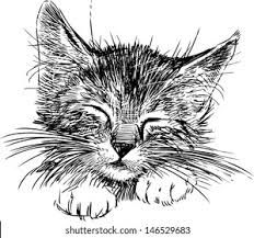 Kitten Sketch High Res Stock Images | Shutterstock Cat Drawing Tutorial, Drawing Tutorial Face, Cat Sketch, Cat Stock, Söt Katt, Cat Vector, Super Cat, Cat Mouse, Cat Posters