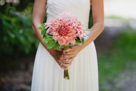 dahlias for wedding | salmon dahlias photo by Bryan and Mae via Style Me Pretty } Dahlia Bridal Bouquet, Dahlia Wedding Bouquets, Bridal Bouquet Coral, Single Flower Bouquet, Small Wedding Bouquets, Dahlias Wedding, Coral Bridesmaid, Green Wedding Inspiration, Dahlia Bouquet