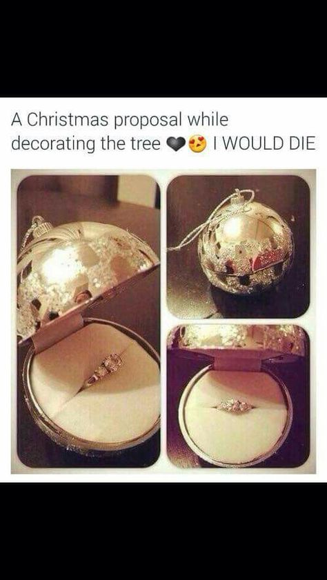 Marriage proposal while Christmas decorating. Christmas Proposal, The Tree, Wedding Rings, Christmas