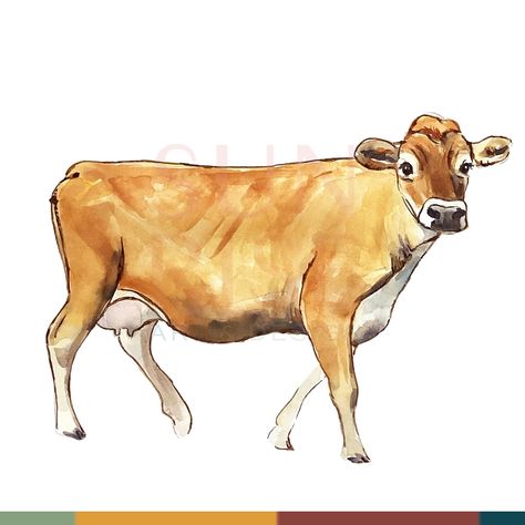 Day 3! We love Jersey cows over here. They are known for their high butterfat content in their milk, making it ideal for rich dairy products like cheese and butter. Thanks ladies! #100DaysofFarmArt #farmfreshart100 #dailyart #makearteveryday #sunriseartanddesign #dairycow Jersey Cow Milk, Cow Milking, Ag Education, Jersey Cow, Cow Milk, Sunrise Art, Farm Art, Dairy Cows, Dairy Products