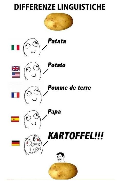 German words German Humor, Language Jokes, Country Jokes, Behind Blue Eyes, German Words, Funny Food, Learn German, My Food, Jokes In Hindi