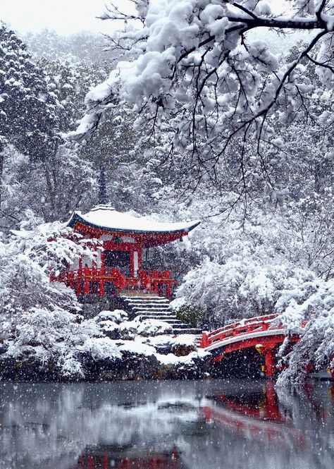 Winter In Japan, Japan Winter, Winter Gardens, Japanese Shrine, Japan Landscape, Japan Photography, Japan Aesthetic, Winter Scenery, Japanese Architecture