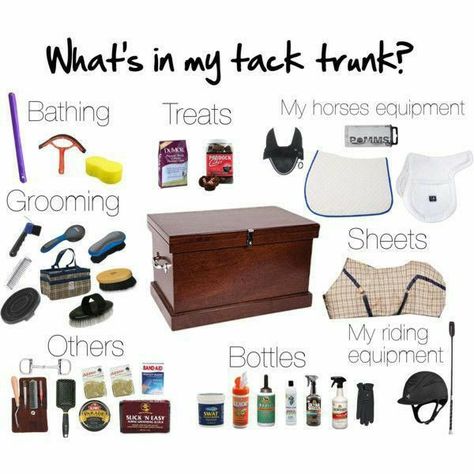 Horse Tack Box Ideas, Tack Storage, Tack Trunk, Tack Box, Horse Information, Winter Horse, Horse Care Tips, Horse Riding Tips, Equestrian Helmet