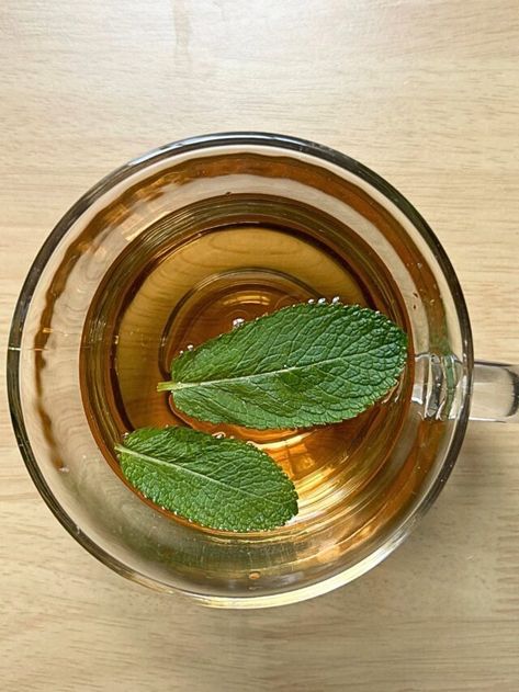 Mint Tea Benefits, Mint Tea Recipe, Fresh Mint Tea, Ginger Tea Recipe, Rosemary Tea, Mint Water, Morning Drinks, Mint Tea, Tea Benefits