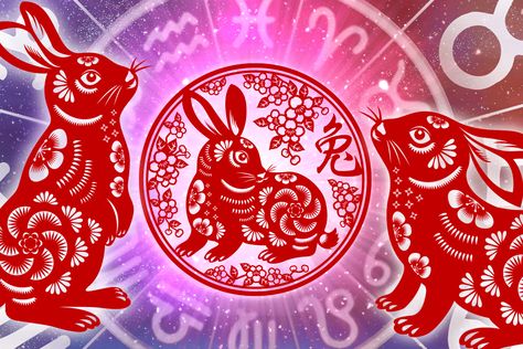 Chinese New Year predictions: What to expect in 2023 Rabbit People, Dynasty Show, Nostradamus Predictions, The Year Of The Rabbit, Great Fire Of London, Zodiac Years, The Great Fire, Tourist Sites, Lucky Colour