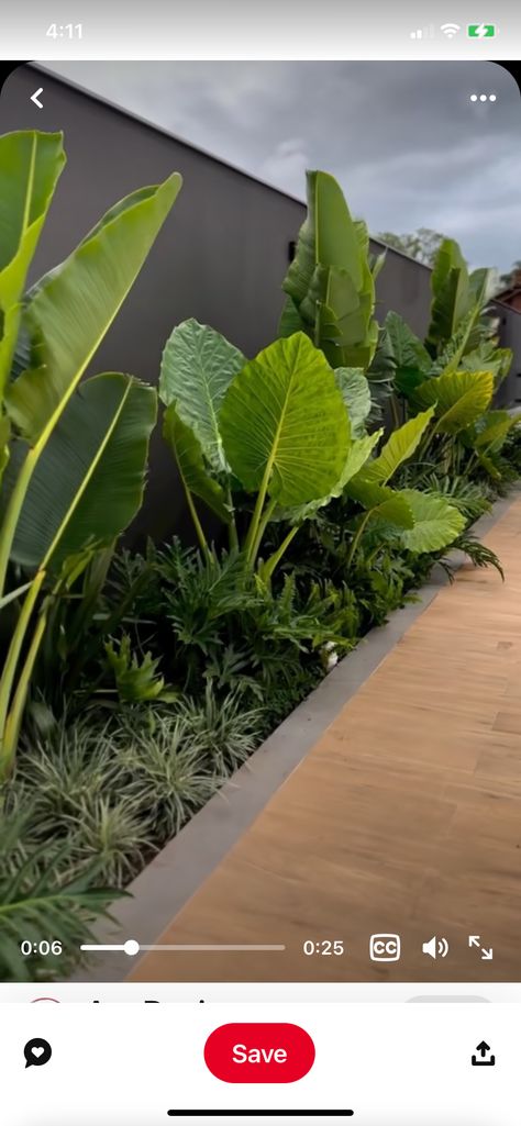 Tropical Backyard Landscaping, Tropical Garden Design, نباتات منزلية, Terrace Garden Design, Tropical Backyard, Courtyard Gardens Design, Modern Backyard Landscaping, Patio Garden Design, Home Garden Design