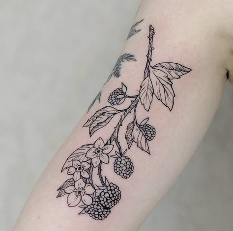 Black Cherry Tattoo, Traditional Bear Tattoo, Blackberry Tattoo, Cherry Tattoo, Cherry Tattoos, Octopus Tattoo Design, Mushroom Tattoos, Petite Tattoos, Vine Tattoos