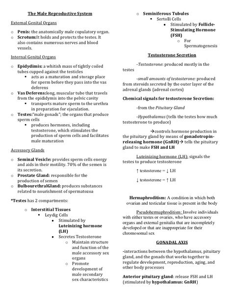 Male reproductive system Galen College Of Nursing, Body Anatomy Organs, Med School Student, Invitro Fertilization, Male Reproductive System, Nurse Study, Mcat Study, Nursing School Essential, Basic Anatomy And Physiology