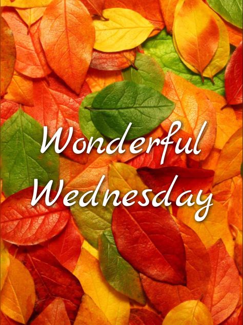 Good Wednesday Morning Inspiration, Happy Fall Wednesday, Happy Wednesday Fall, Fall Wednesday, Wednesday Fall, Wednesday Pictures, Happy Wednesday Pictures, Fall Greetings, Day And Night Quotes