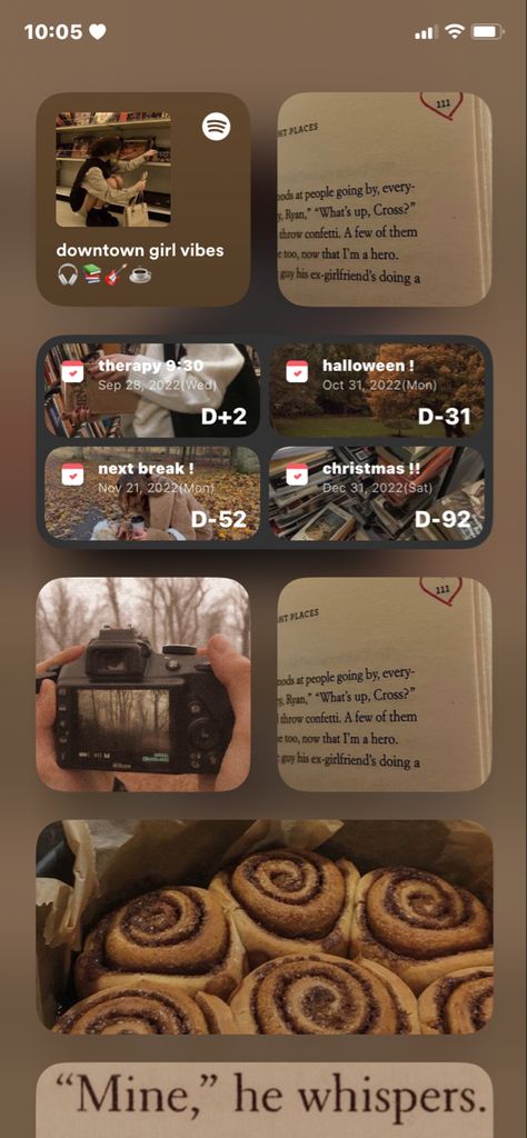 Vintage Ipad Homescreen, Autumn Phone Widget, Iphone Autumn Aesthetic, Side Widget Ideas, Fall Phone Lockscreen, Fall Theme Phone Ideas, School Phone Theme, Fall Homescreen Widgets, Iphone Side Screen Layout