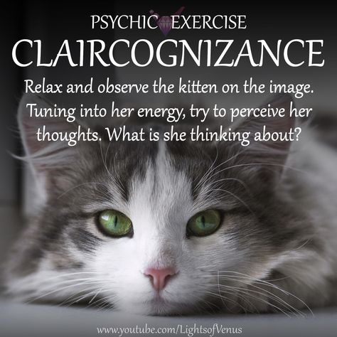 Clair Cognizant, Psychic Exercises, Empath Spiritual, Mediumship Development, Clairvoyant Psychic Abilities, Channeling Spirits, Psychic Development Exercises, Universe Quotes Spirituality, Psychic Development Learning