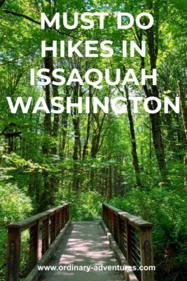 Washington Nature, Issaquah Washington, Washington State Hikes, Types Of Hiking, Washington Hikes, Forest Bathing, Beautiful Forest, Take A Hike, Best Hikes