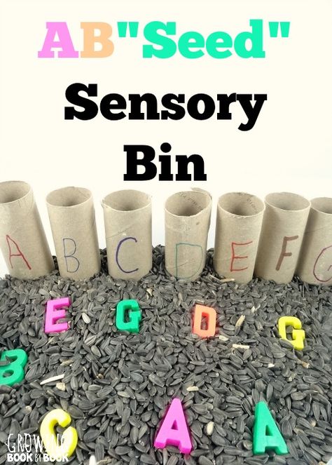 Hands-on alphabet activities are a perfect way for toddlers and preschoolers to learn their letters. This seed sensory bin is a fun way to practice. Seed Sensory Bin, Sensory Table Ideas, Sensory Tables, Sensory Tubs, Sensory Tub, Preschool Sensory, Sensory Bin Ideas, Alphabet Learning, Preschool Alphabet