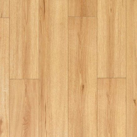 Shields Maple Waterproof Laminate Blonde Laminate Flooring, Maple Laminate Flooring, Indoor Porch, Waterproof Wood, Waterproof Laminate Flooring, Three Season Room, How To Waterproof Wood, Laminate Colours, Resilient Flooring