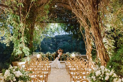 Photography- Sarah Moser #nashvilleweddings #weddingvenue #gardenwedding #nashvillevenue #outdoorwedding #weddinginspo Cheekwood Wisteria Arbor, Wisteria Arbor Cheekwood Wedding, Cheekwood Wedding Nashville, Weddings Vibes, Cheekwood Wedding, Wisteria Arbor, Willow Tree Wedding, Wisteria Wedding, Theme Board