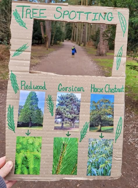 Nature School Projects, Forest Lesson Plan, Nature Classroom Activities, Nature In The Classroom, Forest School Ideas Outdoor Play, Forest School Crafts For Kids, Forest Kindergarten Activities, Preschool Nature Art, Nature School Curriculum