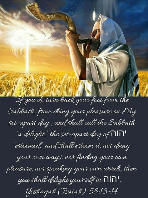 Jewish Sabbath, Sabbath Quotes, Shabbat Shalom Images, Feast Of Tabernacles, Hebrew Lessons, English To Hebrew, Bible Things, Happy Sabbath, Fair Food