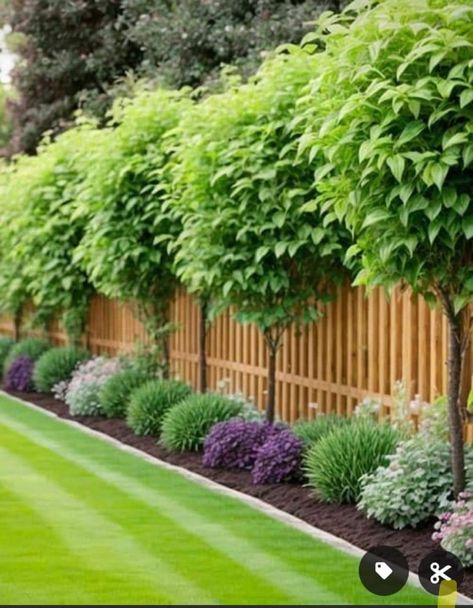 Small Yard Lighting Ideas, Corner House Fence Ideas, Landscaping Privacy Ideas, Fence Landscape Ideas, Backyard Landscaping Along Fence, Fence Gardens, Fence Gardening, Paint Fence, Painting Fence