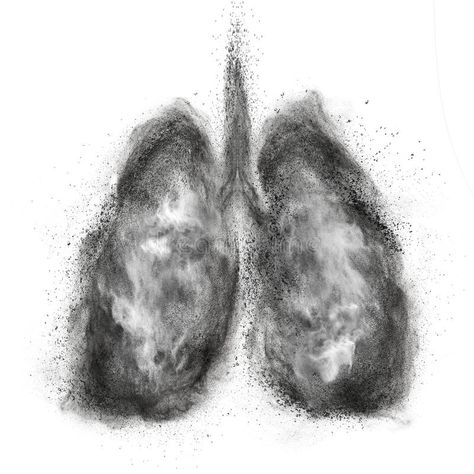 Lungs made of black powder explosion isolated on white. Background #Sponsored , #advertisement, #Sponsored, #black, #white, #Background, #powder Lungs Wallpaper, Thorax Anatomy, Black Lungs, Powder Explosion, Future Wallpaper, White Stock, Lungs, Stock Pictures, Royalty Free Photos