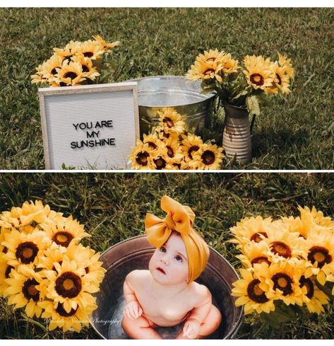 August Baby Pictures Ideas, May Milestone Picture Ideas, Spring Baby Picture Ideas, Infant Summer Photoshoot Ideas, Spring Baby Photoshoot Ideas, May Milestone Picture Baby, Spring Baby Photos, September Baby Photo Ideas, Sunflower Family Pictures Newborn