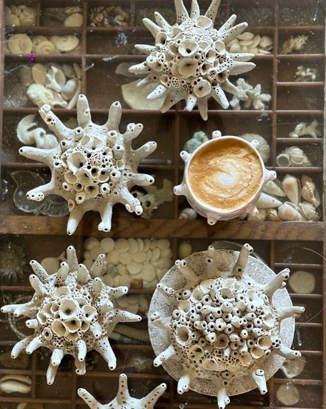 Sea urchin / coral inspired wall pieces 🪸 drying out - with an ‘urchin’ coffee cup coffee :) . . . #handmadeceramics #porcelaincoral #ceramiccoral #handmadecoral #seaurchin #sculpture #katherinewheelerceramics #clayart #oceaninspired #ceramics #beachy Clay Sea Urchin Diy, Coral Ceramics, Sea Urchin Bowl, Ceramic Sea Urchin, Ceramic Coral Sculpture, Sea Urchin, Cup Coffee, Ocean Inspiration, Artist On Instagram