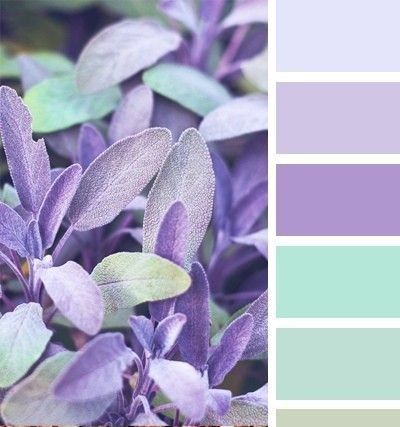 Lavender And Mint Color Palette, Purple And Green Branding Board, Purple Green Silver Color Palettes, Bedroom Green And Purple, Mint Green Color Combinations, Purple And Green Color Palette, Mint Color Palettes, Lavender Color Palette, Color Design Inspiration