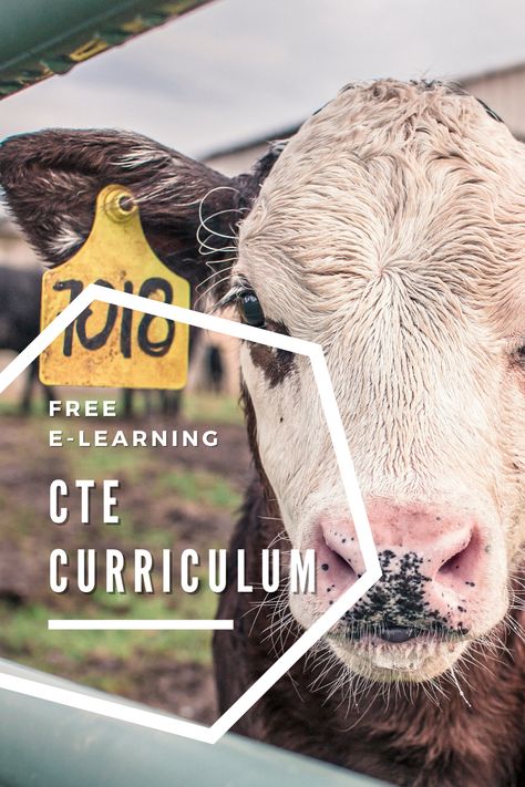 Animal Science High School, Principles Of Agriculture Activities, Agriscience Lessons, Middle School Agriculture, High School Ag Classroom, Ag Education Lesson Plans, High School Agriculture Classroom, Ag Teacher Classroom Ideas, Agriculture Education Activities