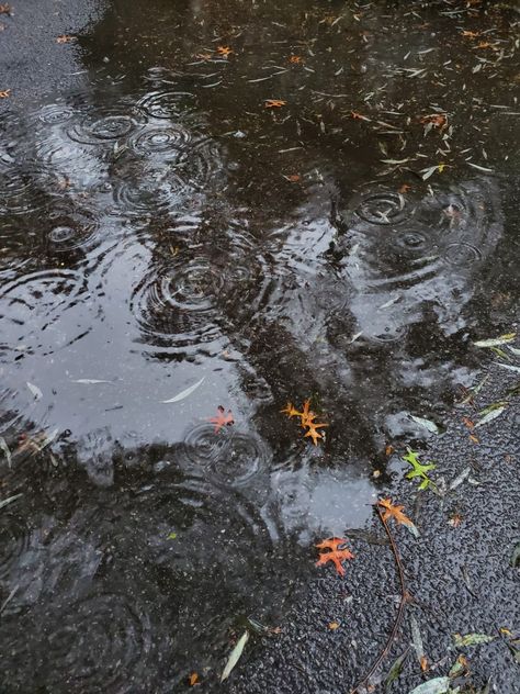 autumn puddles 🍂🍁 Puddle Drawing Reference, Puddle Aesthetic, Puddle Drawing, Puddle Sketch, Jumping In Puddles Aesthetic, Puddle Reflection, Reflection In Puddle, Drawing Rain, Puddle Reflection Painting