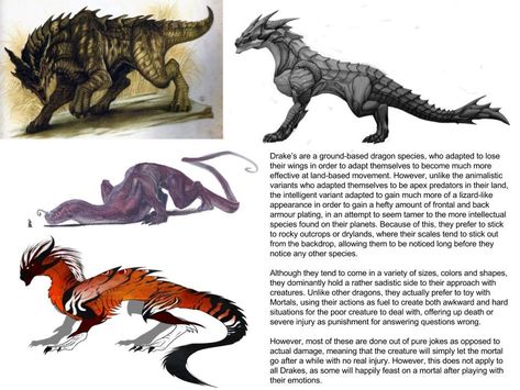 Drake Dragon Concept Art, Drake Mythical Creature, Drake Art Dragon, Drake Creature, Drake Dragon Art, Dragon Drawing Reference, Base Anatomy, Dnd Pets, Drake Dragon