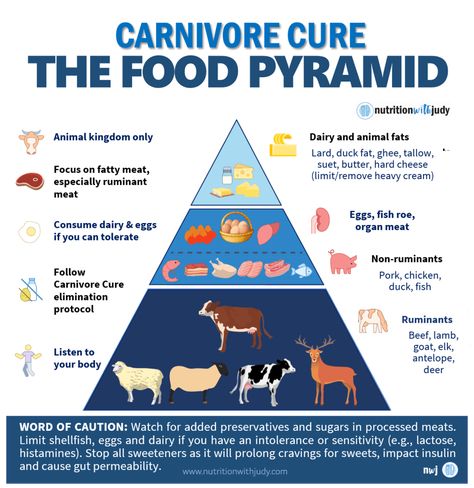 Lion Diet, Animal Based Diet, Caveman Diet, Meat Diet, Animal Based, Carnivore Diet, Food Pyramid, Beef Liver, Elimination Diet