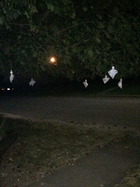 Tree ghosts Ghosts Hanging From Tree, Tree Ghosts, Ghost, Concert, Halloween