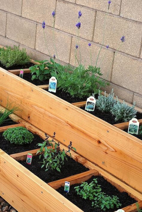 garden21 Outdoor Herb Garden, Diy Garden Bed, Garden Boxes Raised, Diy Herb Garden, Plants Growing, Desert Garden, Have Inspiration, Garden Boxes, Veggie Garden