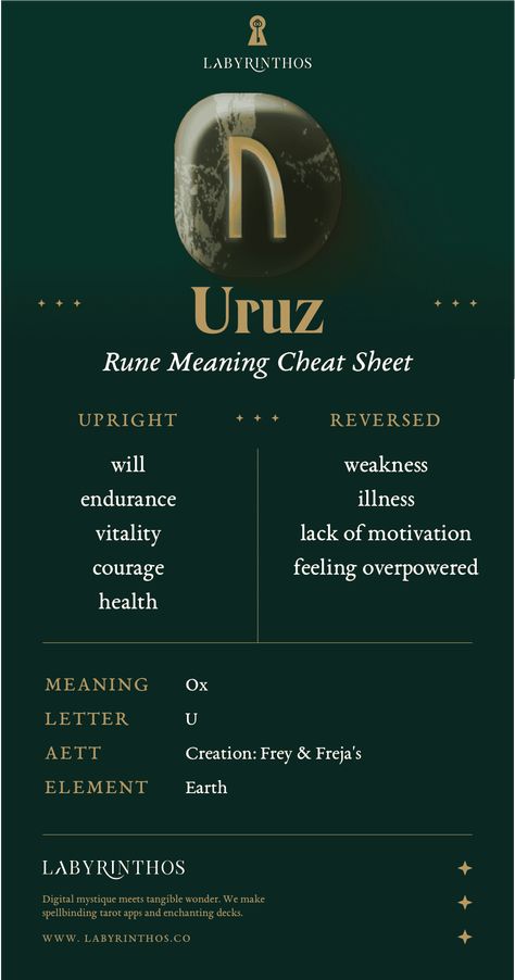 Uruz Rune Meaning: Endurance and Power – Labyrinthos Norse Runes Meanings, Uruz Rune, Golden Thread Tarot, Runes Meaning, Esoteric Knowledge, Element Earth, Norse Runes, Tarot Meanings, Online Tarot