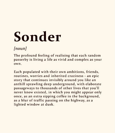 Beautiful Words That Describe Obscure Emotions, Sonder Meaning, Sonder Definition, Dictionary Of Obscure Sorrows, Mental Growth, Unique Words Definitions, Dreamcore Weirdcore, Unusual Words, Word Definitions