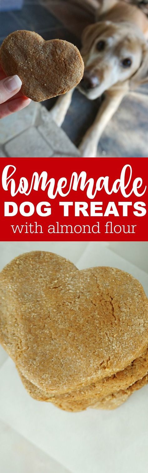 Homemade Dog Treats with Almond Flour! Healthy treats for your pups that they will love! DIY And Easy to make at home with only 5 Simple Ingredients! #diydogtreats #dogtreats #easypetrecipes Dog Treats Homemade, Homemade Dog Cookies, Dogs Treats, Animal Treats, Easy Dog Treat Recipes, Dog Biscuit Recipes, Easy Dog Treats, Dog Foods, Dog Treats Homemade Recipes