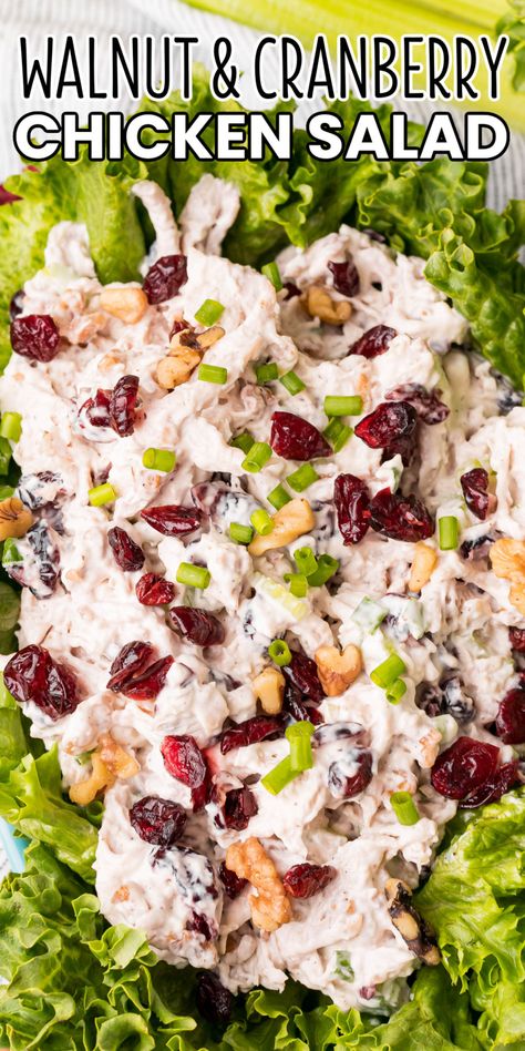 Cranberry Pecan Chicken Salad, Salad With Cranberries, Cranberry Chicken Salad, Chicken Salad With Apples, Pecan Chicken Salads, Holiday Lunch, Cranberry Chicken, Pecan Chicken, Apple Recipe