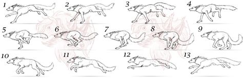 Wolf Running Cycle, Wolf Running Reference, Wolf Walk Cycle, Wolf Run Cycle, Wolf Tutorial, Wolf Animation, Running Animation, Animation Frames, Running Drawing