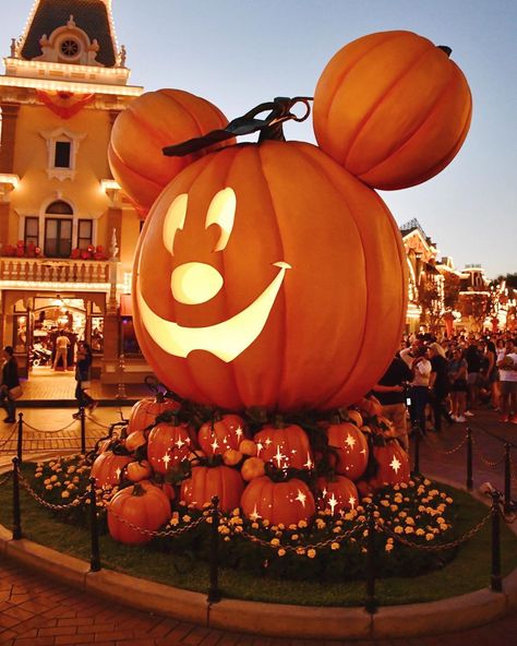 Disneyland Halloween Party, Halloween Time At Disneyland, Disney Halloween Decorations, Disney World Halloween, Mickey Halloween Party, Mouse Pumpkin, Mickey Mouse Pumpkin, Disney Tourist Blog, Halloween Post