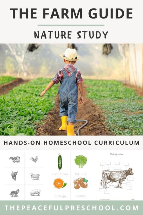 Homeschool Farm Unit Study, Unit Studies For Preschool, Homeschool Farm Unit, Homestead Homeschool Curriculum, Unit Studies For Kindergarten, Homeschool Outside, Elementary Unit Studies, Homestead Preschool, Free Unit Studies Homeschool