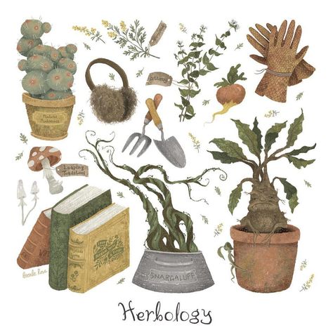 Herbology Hufflepuff Aesthetic, Potter Art, The Greenhouse, Harry Potter Aesthetic, Wizarding World Of Harry Potter, Witch Art, Harry Potter Art, Arte Animal, Harry Potter World