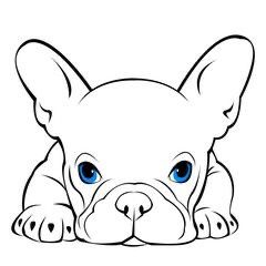 Bulldog Coloring Pages, Blue Fawn French Bulldog, French Bulldog Full Grown, French Bulldog Drawing, Bulldog Drawing, French Bulldog Tattoo, Fawn French Bulldog, Bulldog Tattoo, French Bulldog Art