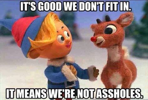 Alternate caption to my classic Christmas fave "Rudolph the Red Nosed Reindeer." Christmas Shows, Rudolph The Red, Red Nosed Reindeer, Holiday Humor, Christmas Music, Christmas Movies, Bones Funny, Christmas Humor, Childhood Memories