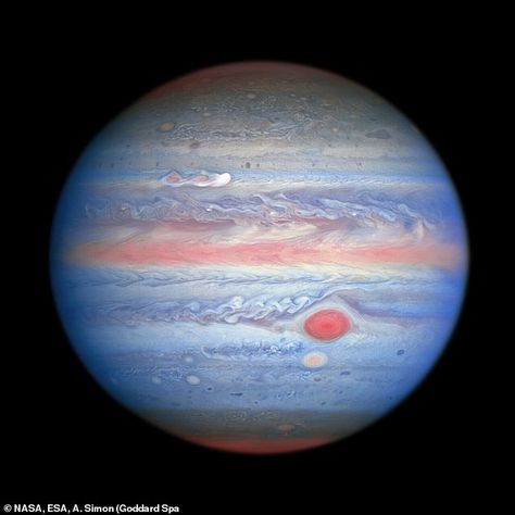 Stunning photo reveals a new 'Great Red Spot' is forming on Jupiter | Daily Mail Online 9/18/20 NASA says Hubble's near infrared imaging, combined with ultraviolet views, provides a unique panchromatic look at Jupiter (pictured) that offers insights into the altitude and distribution of the planet's haze and particles. It also makes the gas giant look like a gobstopper Jupiter In Taurus, Planeta Jupiter, Telescope Pictures, Great Red Spot, Nasa Hubble, Space Icons, Richard Feynman, Foto Langka, Hubble Images