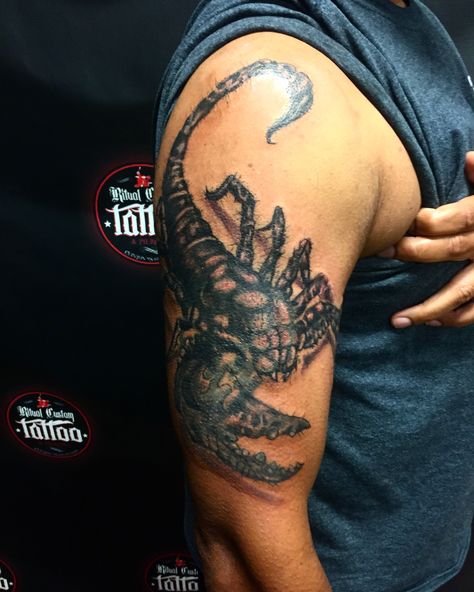 Scorpio Tattoo, Scorpion Tattoo, Curvy Fashion, Scorpion, Tatting, Tattoos, Quick Saves