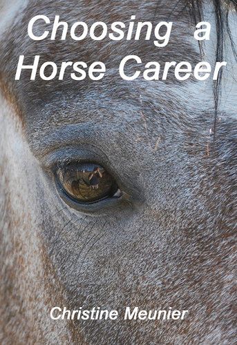 - Jobs With Animals, Horseback Riding Tips, Horse Lessons, Horse Information, Horse Info, Horse Ideas, Free Horses, Horse Training Tips, Horse Things