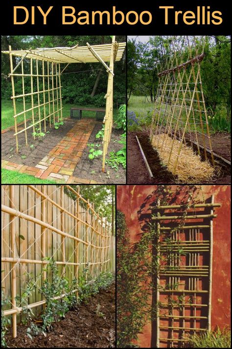 Lashing Bamboo Trellis, Diy Trellis Bamboo, Bamboo Lattice Trellis, Bamboo Garden Structures, Bamboo Garden Trellis Diy, Bamboo Arbor Diy, Bamboo Garden Arch, Bamboo Uses In Garden, Bamboo Poles Garden Ideas