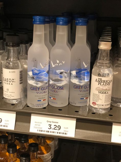 A frosted glass bottle with a goose silhouette on the front, revealing a backside picture of a mountain. Goose Silhouette, Grey Goo, Grey Goose, Glass Bottle, Frosted Glass, Glass Bottles, Vodka, Grey, Glass